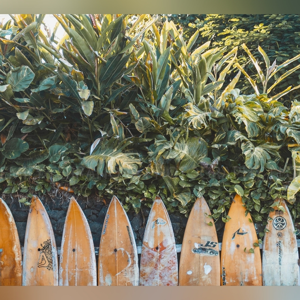 Framed Hawaii Surfboard Art Print, 8x12 - Picture 2 of 9